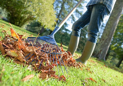 goverment-facility-cleaning - Commercial Cleaning | Salt Lake City ...